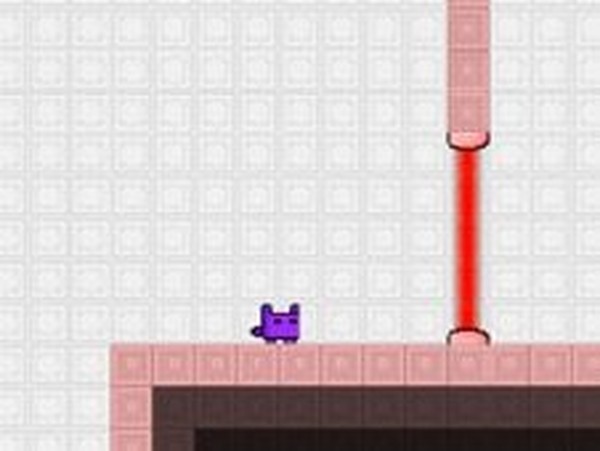 Cat Ninja Online Adventure Game - Arcade Game