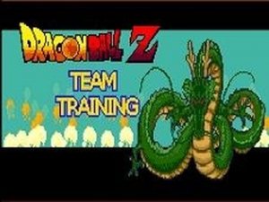 Dragon Ball Z Team Training Adventure