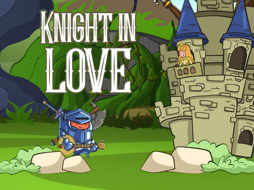 Knight's Romantic Quest