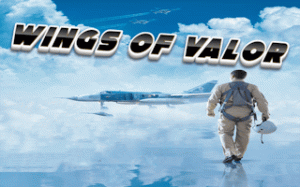 Skyward Watch: Guiding Flight