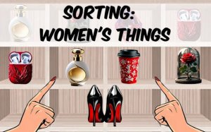 Sorting: Women's Things Puzzle Game Online - Ludoryx free online game