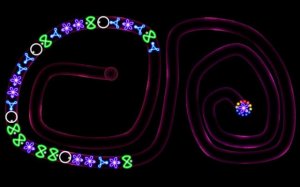 TD Neon Shoot - Zuma: Marble Defense Puzzle Game Online - Ludoryx free online game